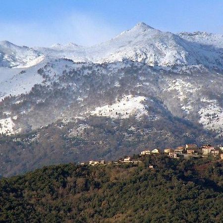 ホテル Casa Bonino Prunelli-di-Fiumorbo エクステリア 写真