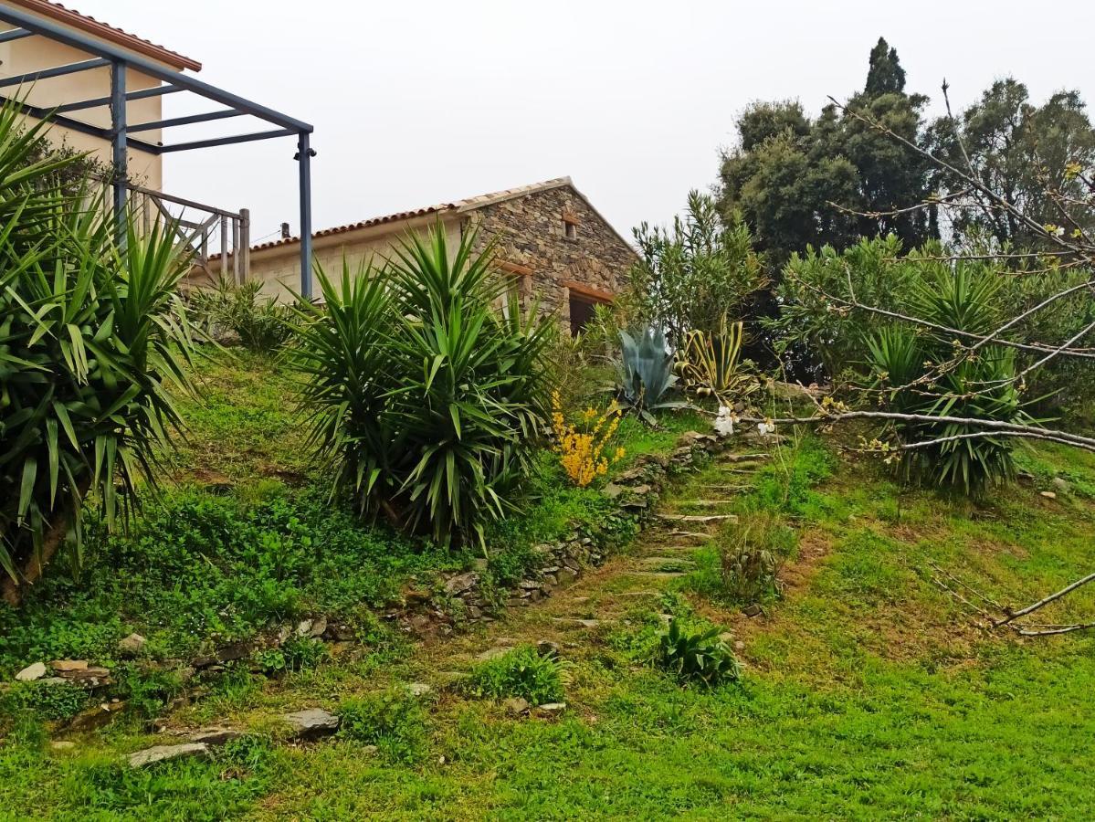ホテル Casa Bonino Prunelli-di-Fiumorbo エクステリア 写真