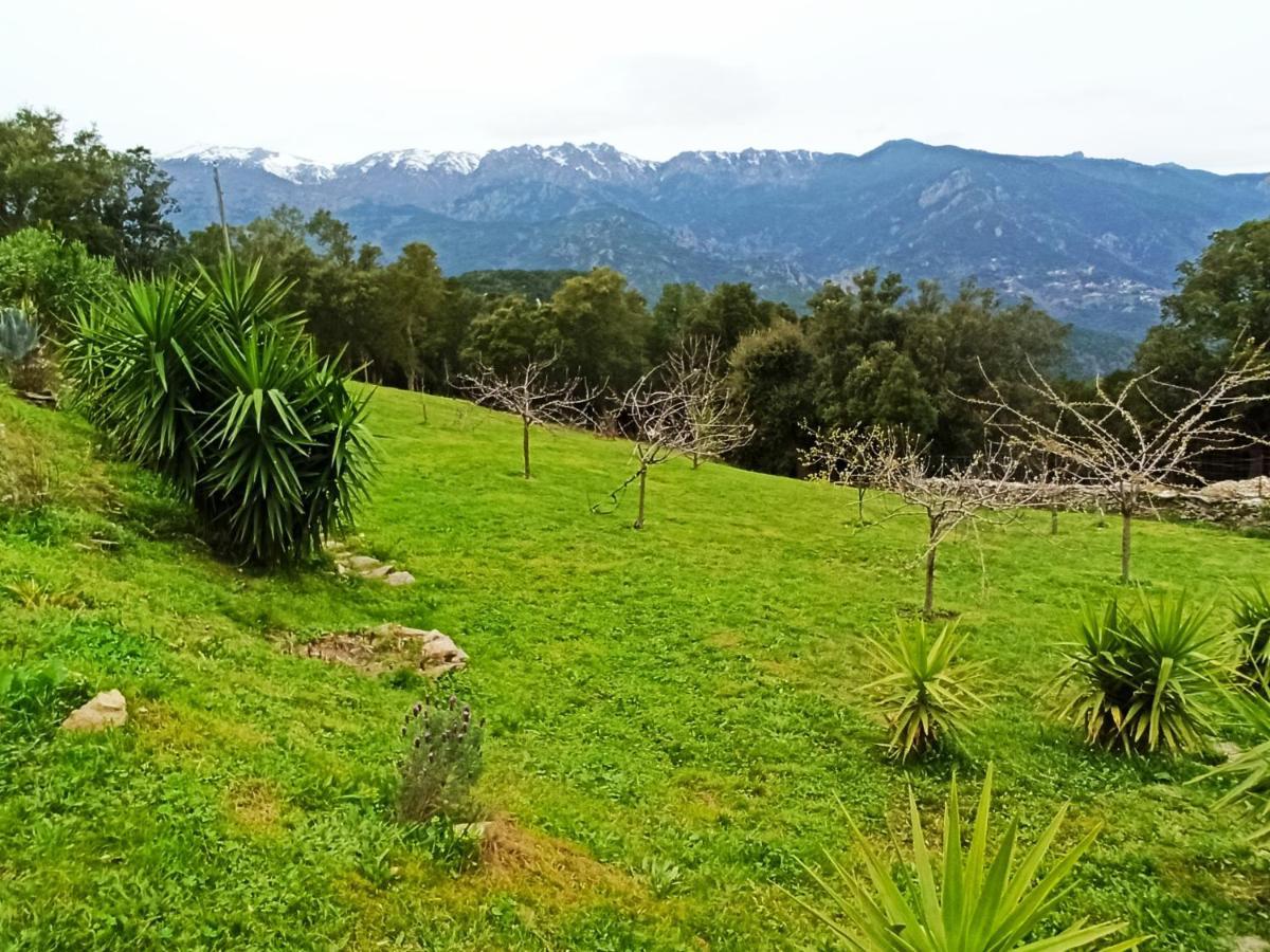 ホテル Casa Bonino Prunelli-di-Fiumorbo エクステリア 写真